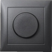 Панель с регулирующей кнопкой для поворотных диммеров цвет: антрацитовый, матовый Berker S.1